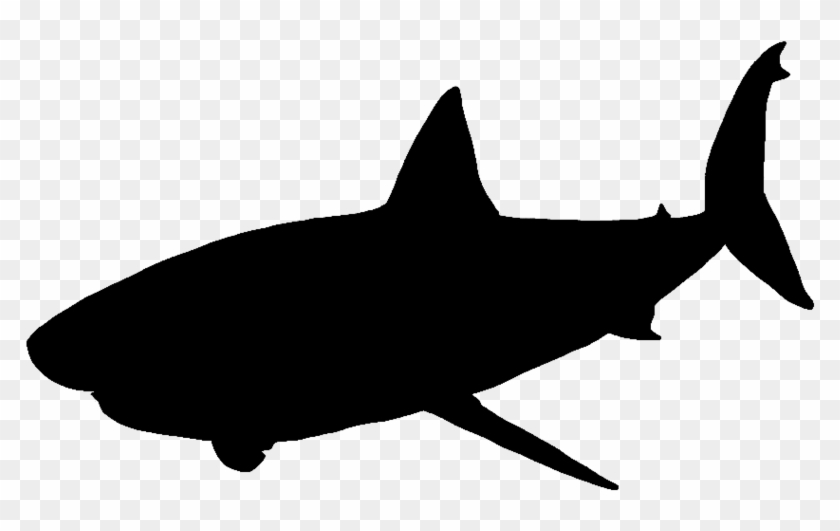 Great White Shark Silhouette Png #290702