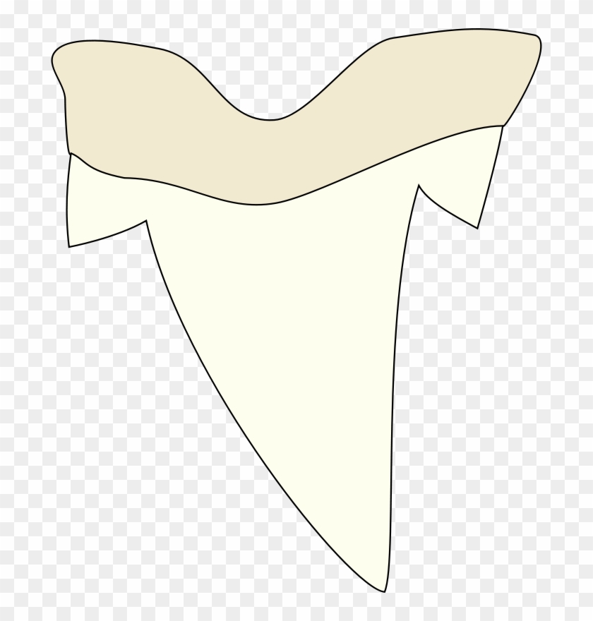 Free Shark Tooth - Shark Tooth Clipart #290710