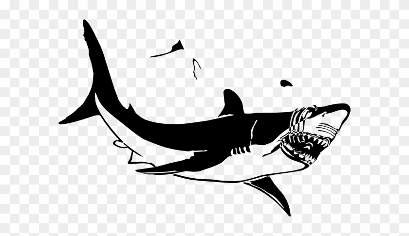 Hammerhead Shark Clipart Bclipart Free Clipart Images - Great White Shark Clip Art #290723
