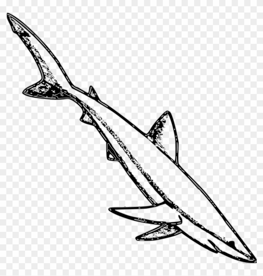 Shark Animal Free Black White Clipart Images Clipartblack - Blue Shark Outline #290828