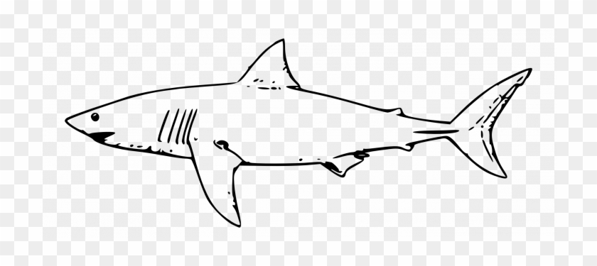 Animals ~ Coloring Pages Animals Whale Shark Drawing - Great White Shark Outline #290856