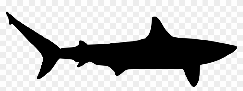 6 Shark Silhouette - Shark On Transparent Background #290870