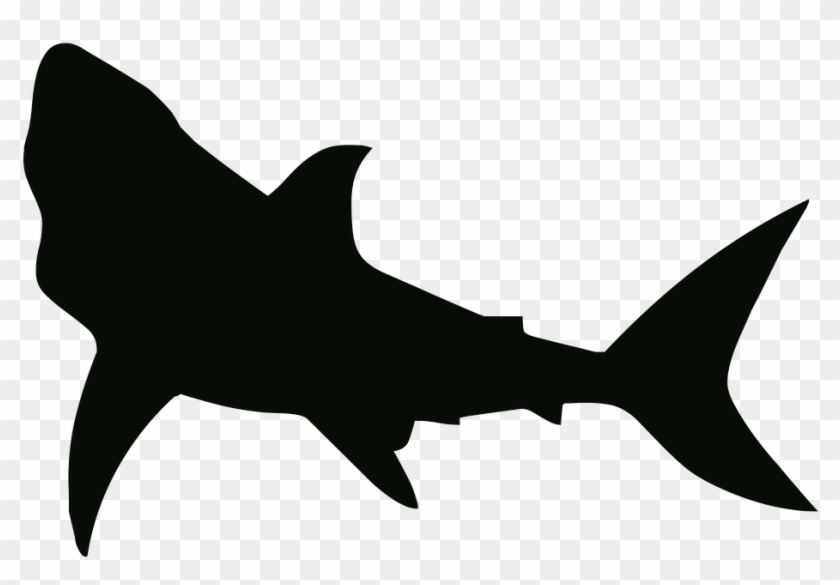 Shark Black And White Shark Free Pictures On Pixabay - Shark Stencil #290888