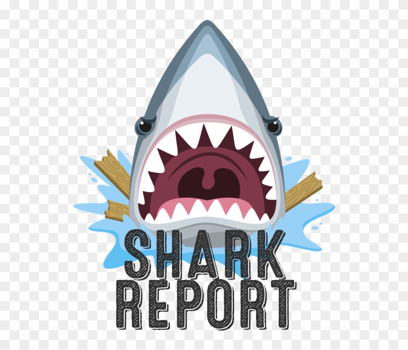 Sharkreport - Machoire De Requin Dessin #290908