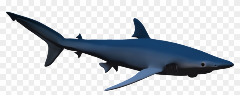 Hammerhead Shark Cartoon Free Download Clip Art Free - Cetacea #290927