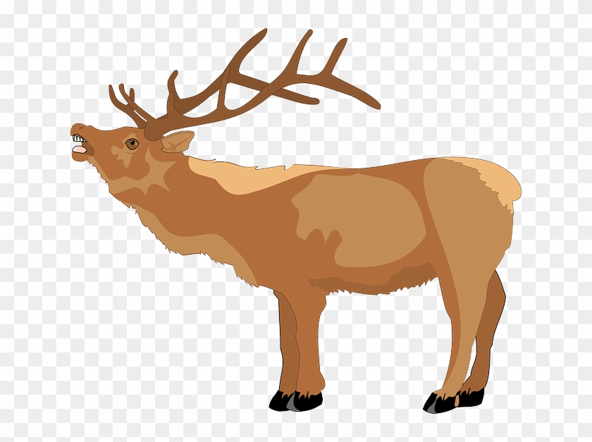Open, Cartoon, Color, Mouth, Loud, Animal, Teeth - Reindeer Clip Art #290926