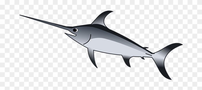 Swordfish Predator Sea Animal Ocean Water - Xiphias Clipart #290938
