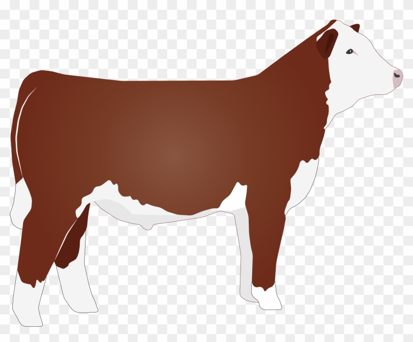 Related Hereford Bull Clipart - Hereford Clip Art #291000