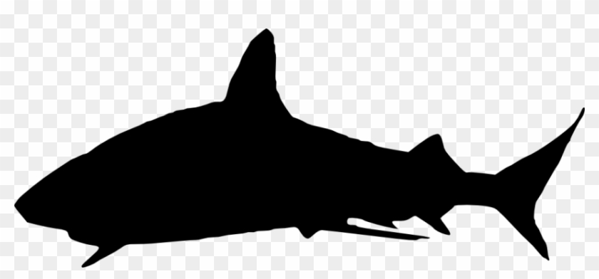 Shark Silhouette Png - Shark Silhouette Png #291005