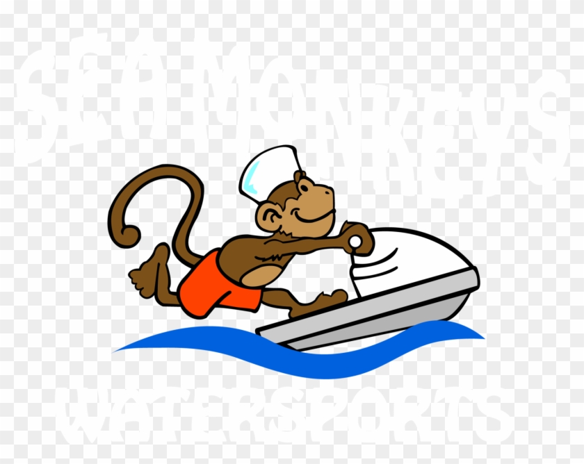 Sea Monkeys Watersports Jetski - Boat Tour #291181