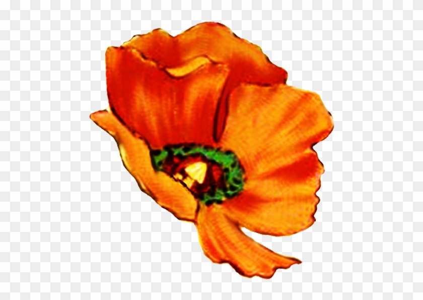Digital Scrapbooking Flowers Poppy Head - Flowers Hd Single Png #291243