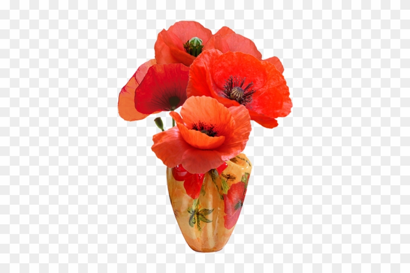 Poppies In Vases - Великолепно Гиф #291250