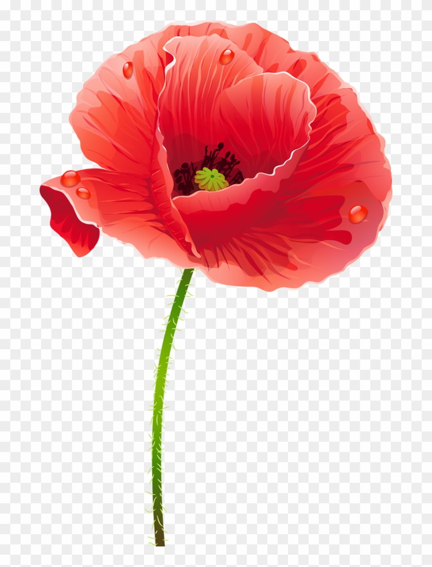 Tubes Fleurs - Cafepress Artistic Red Poppies Samsung Galaxy S8 Plus #291303