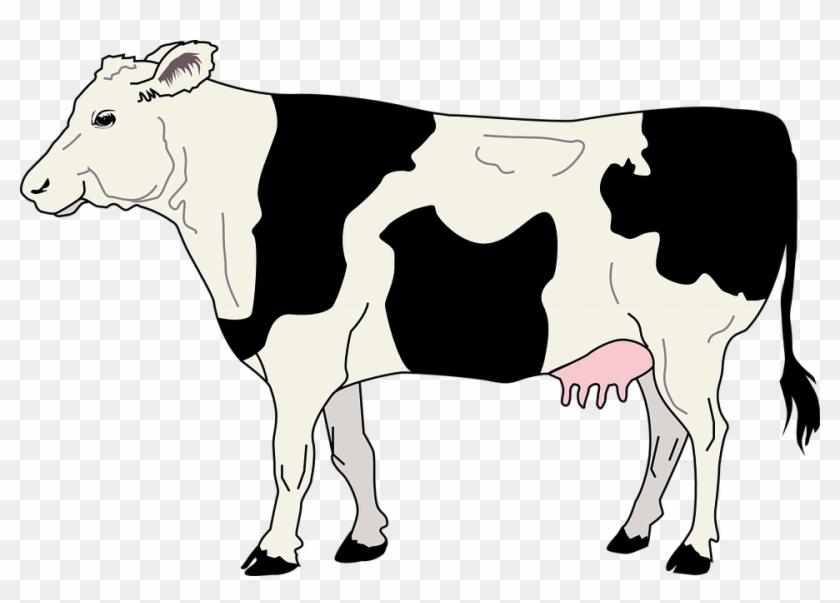 Animated Cow Pictures 18, Buy Clip Art - Black And White Cow Clipart - Free  Transparent PNG Clipart Images Download
