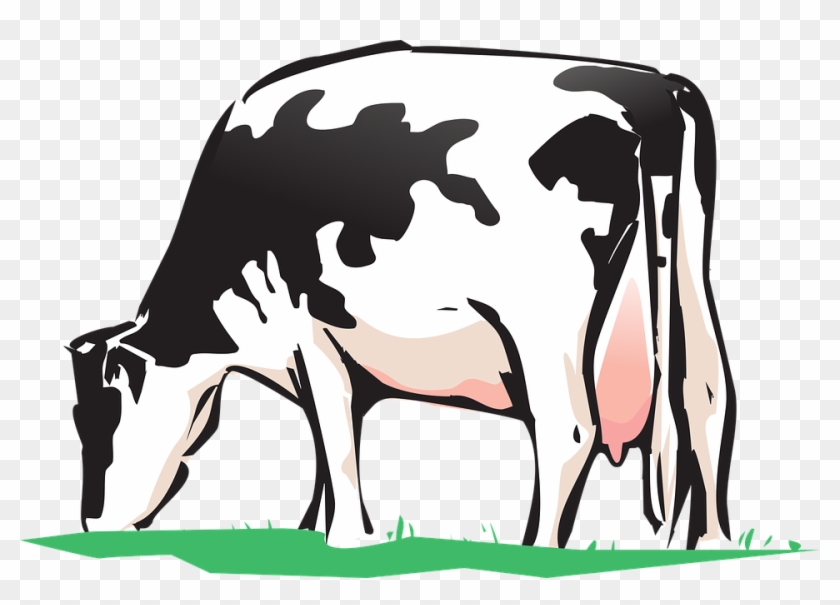 Animated Cows Pictures 25, Buy Clip Art - Cow Drink Water Clipart #291355