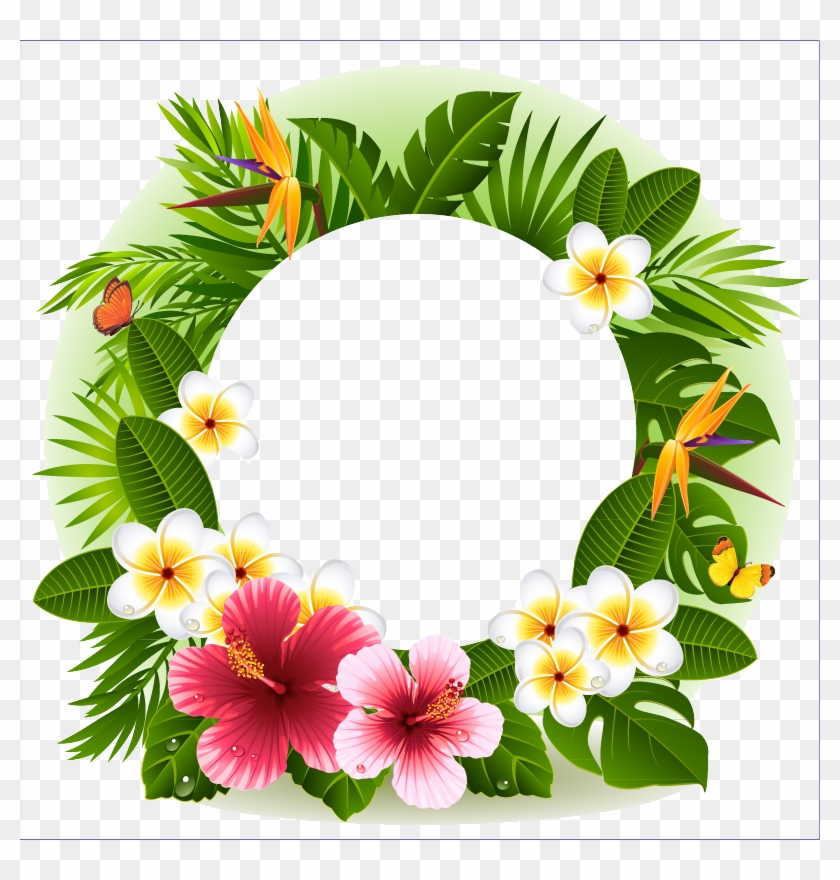 Tropical Flower Decorative Borders - Tropical Flower Frame Png #291364