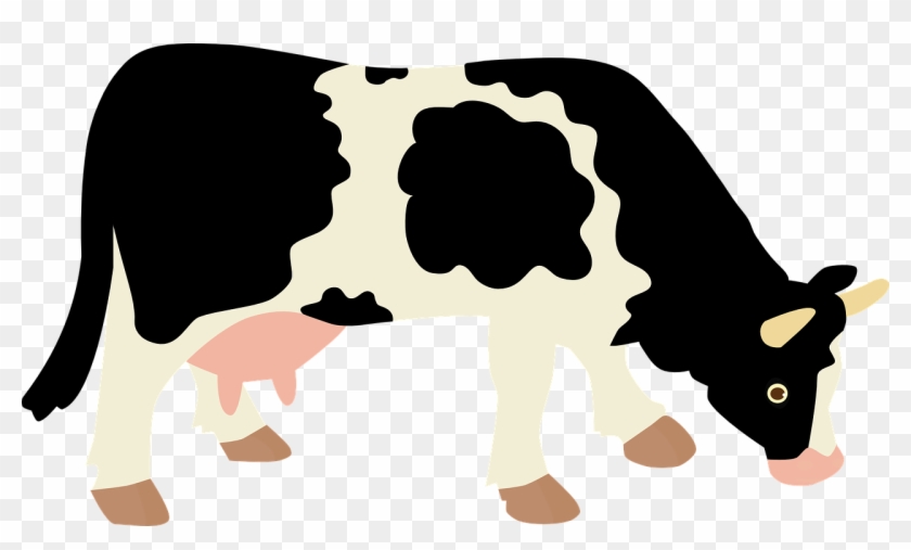 Animated Cow Pictures 19, - Example Of Cellular Respiration #291404