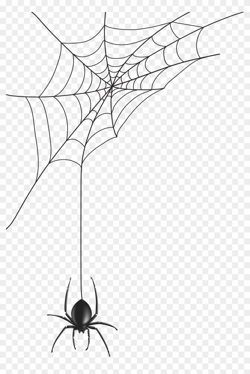 Spider Web Png Clip Art Image - Spider Web Png Clip Art Image #291437