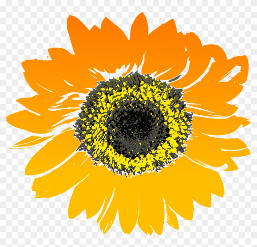 Free Flower Clipart 24, - Sunflower Graphic #291427