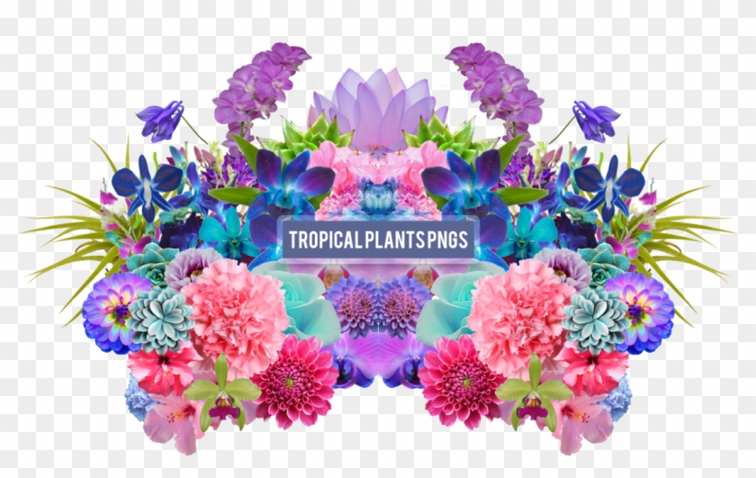Tropical Plants Png's By Summer To The Spring - Pack Png Plantas #291463
