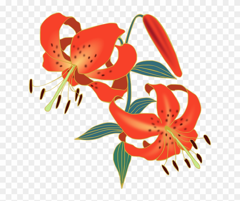Red Flower Clip 19, Buy Clip Art - Tiger Lily Clip Art #291575