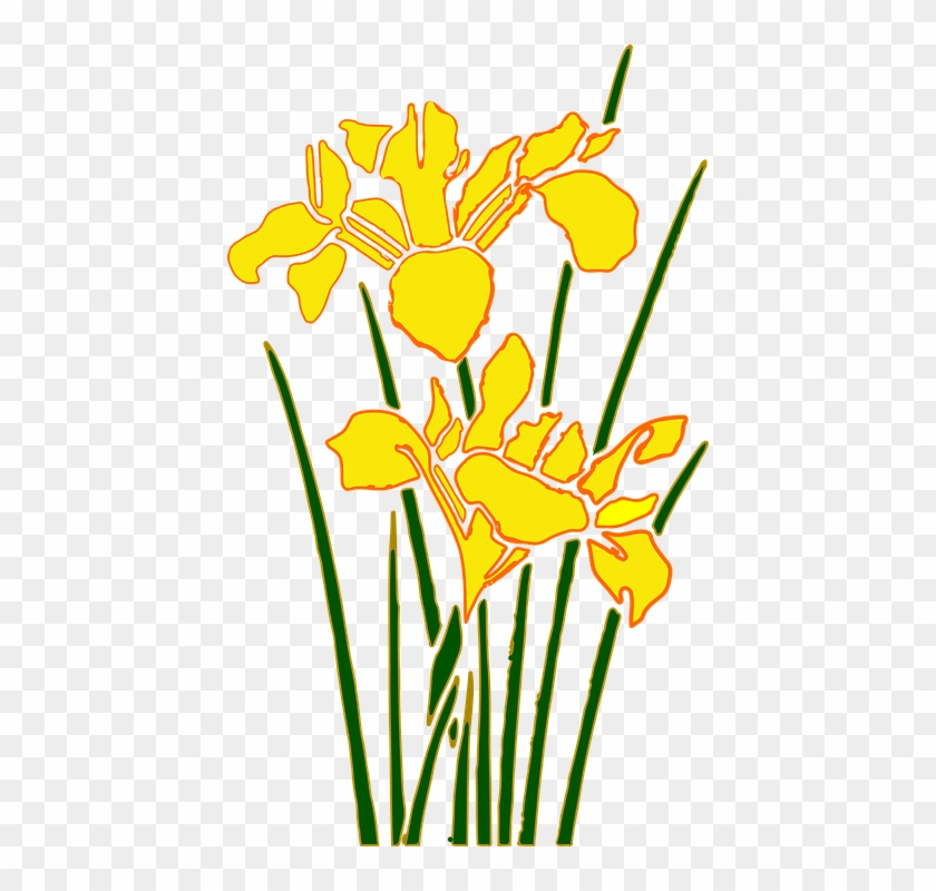 Daffodil Clip Art 12, - Yellow Iris Transparent Clipart #291576