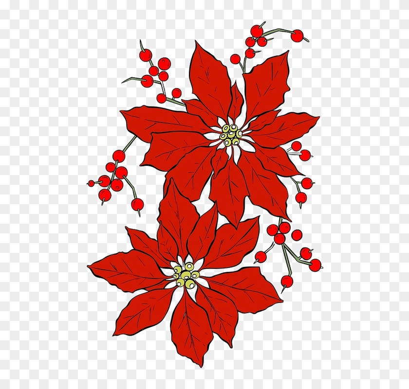Red Flower Clip 28, Buy Clip Art - Poinsettia Illustration #291592