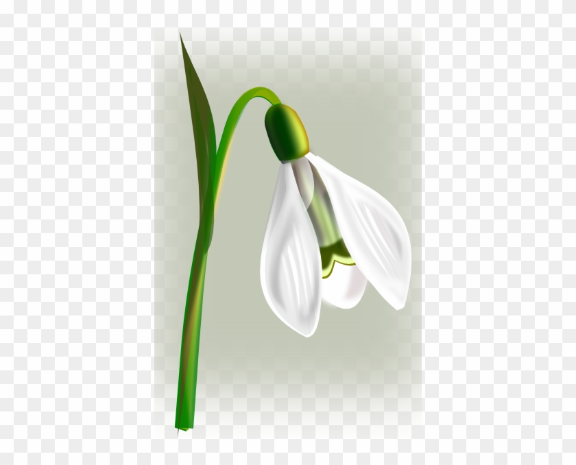 Snowdrop Clipart #291611