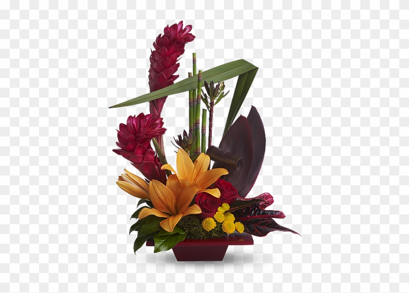 Shop For Tropical Flowers - Contemporary Flower Arrangement Ideas #291690