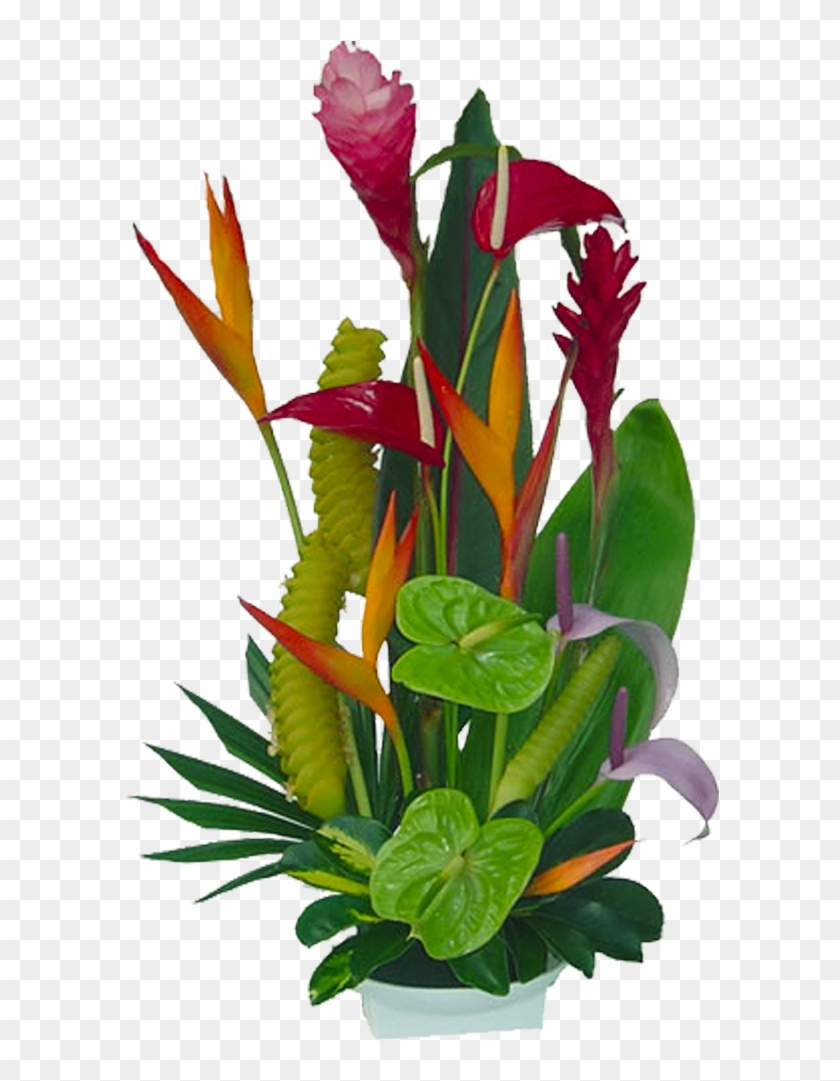 50 Previous Next - Tropical Jungle Flower Arrangement #291731