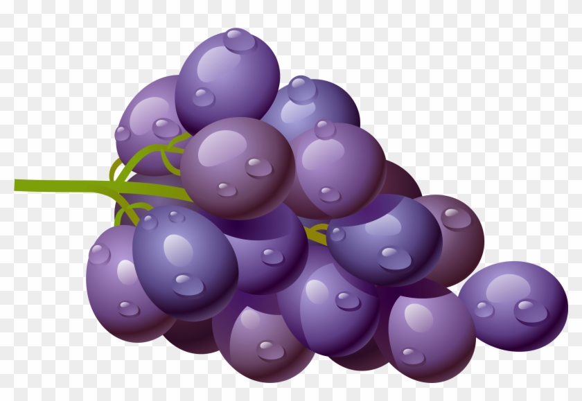 Purple Grapes Clipart Free Clipart Images - Grapes Clip Art Png #291971