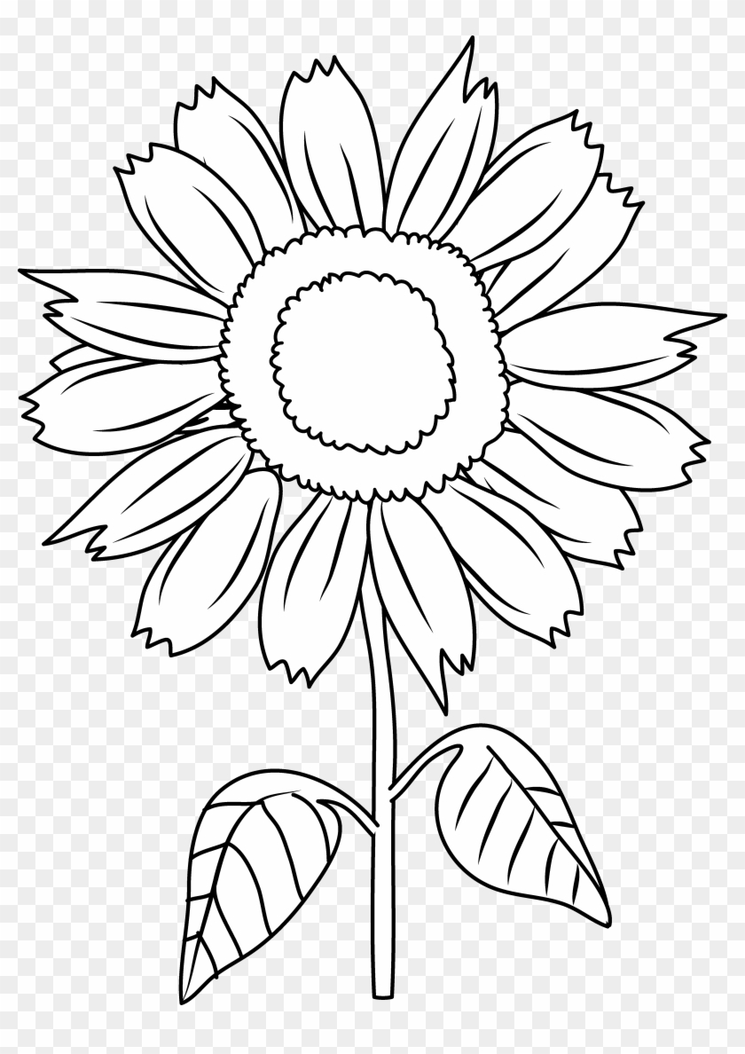 Pretty Sunflower Coloring Page - Sun Flower In Cartoon - Free Transparent PNG Clipart Images Download Pretty Sunflower Coloring Page - Sun Flower In Cartoon - Free Transparent PNG Clipart Images Download