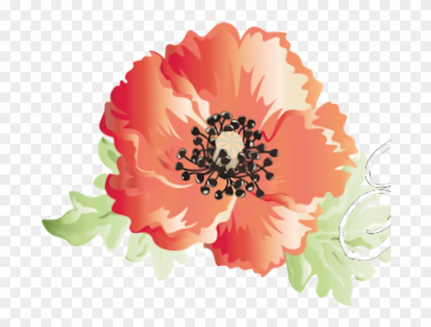 Poppies #292146