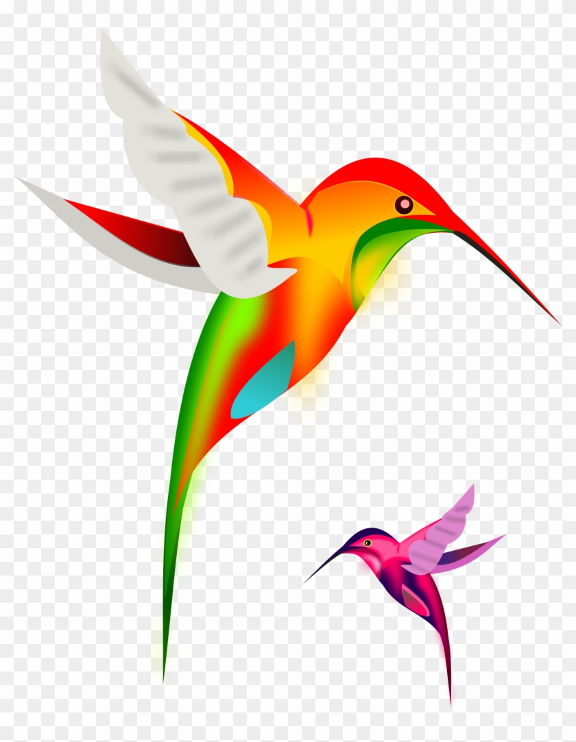 Free Colibri Birds - Colorful Hummingbirds Throw Blanket #292151