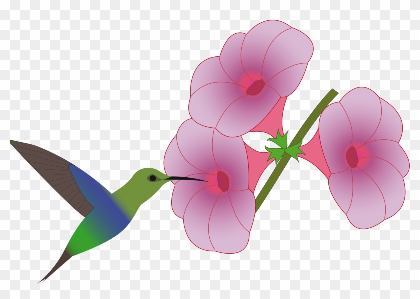 Big Image - Hummingbird With Flower Clip Art #292180