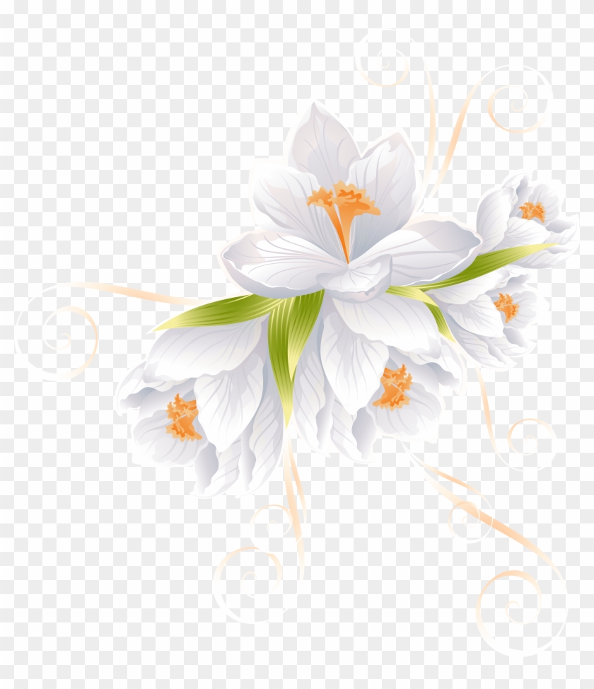 White Flower Clipart Png - White Flower Clipart Png #292188
