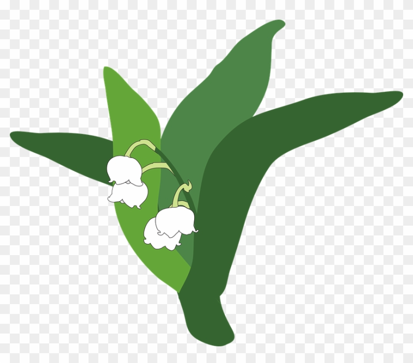 Humming Bird Cartoon 17, Buy Clip Art - Muguet Png #292190