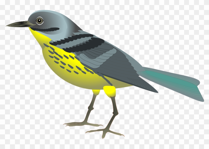 Animal Clipart Bird - Bird Clipart Free #292216