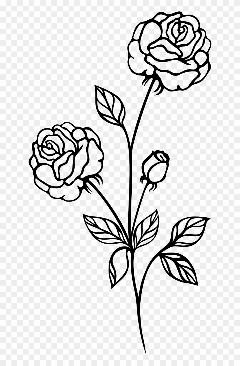 Rose Black And White Clip Art Flowers Roses - Rose Plant Black And ...