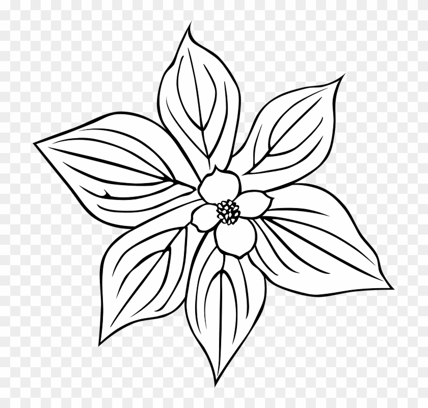 Black And White Flowers Clipart 15, - Outline Of A Flower #292255