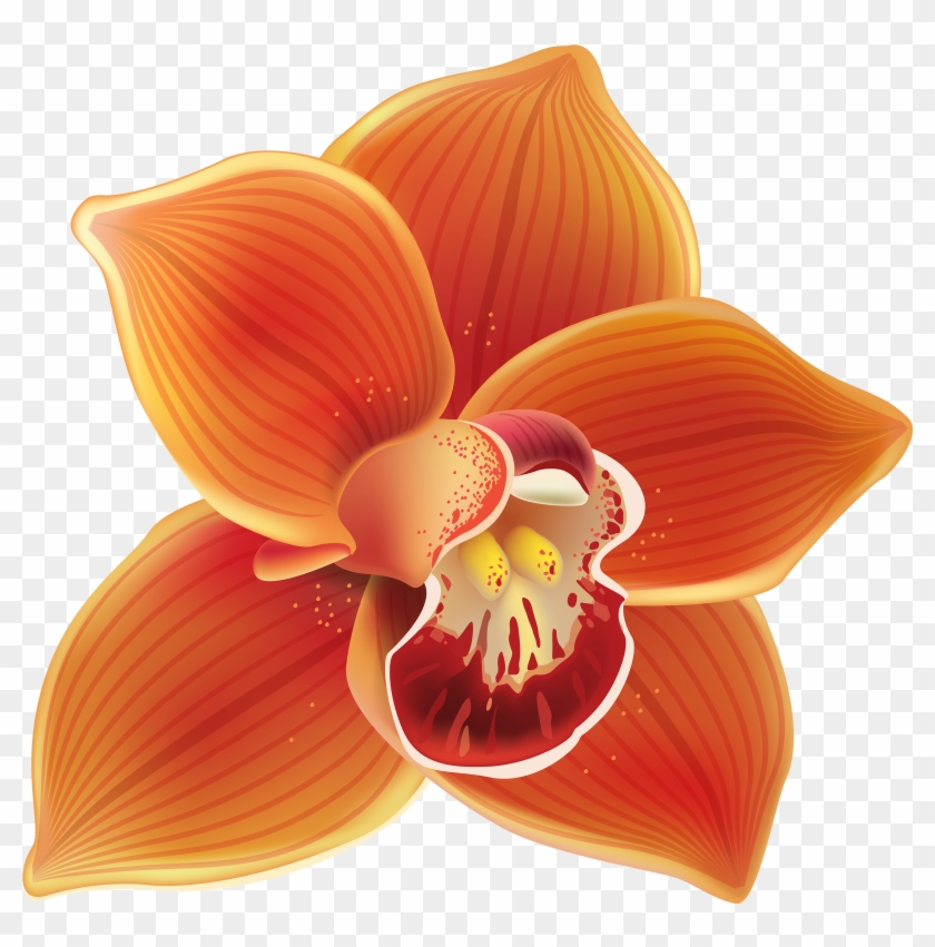 Orchid Clip Art - Orange Orchid Png #292320