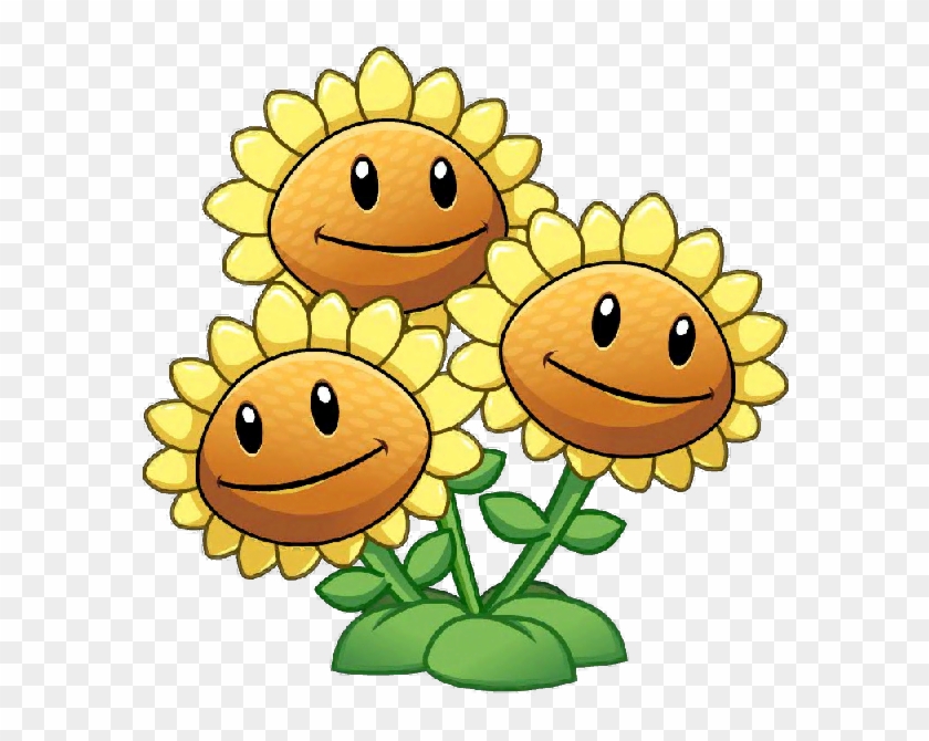 Three Head Sunflower Close Up - Sunflower Plants Vs Zombies #292455