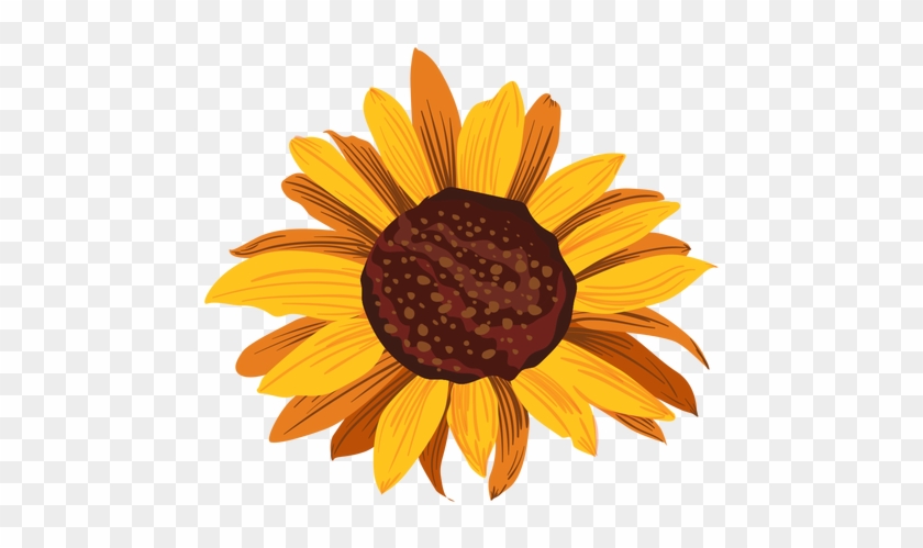 Sunflower Head Drawing Transparent Png - Girassol Desenho #292459