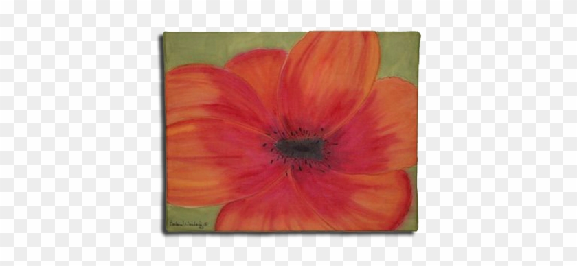 Rit Dye Poppy Flower Art - Poppy #292498