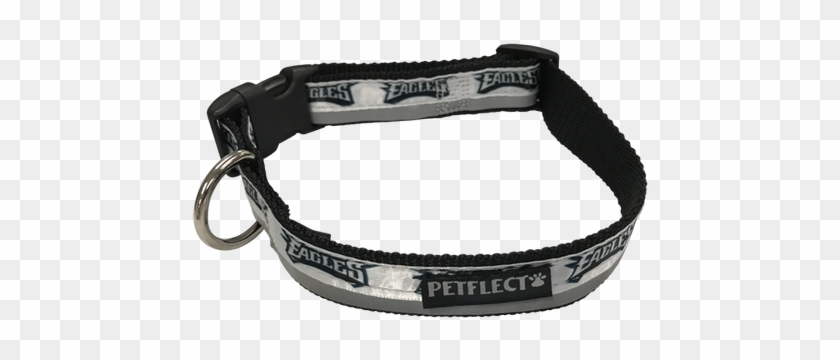 Philadelphia Eagles Dog Collar - Dog Collar #292517