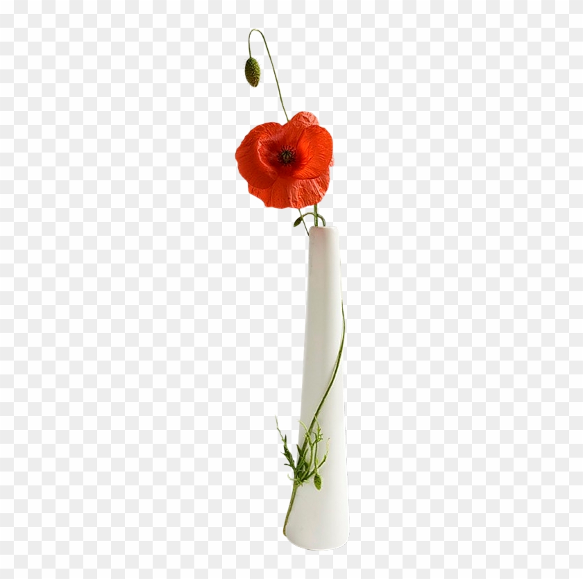 Poppies In Vases - Common Poppy #292555