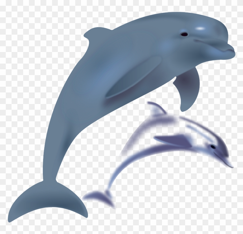 Dolphins, Delfinai, Animals - Dolphin Clipart #292696