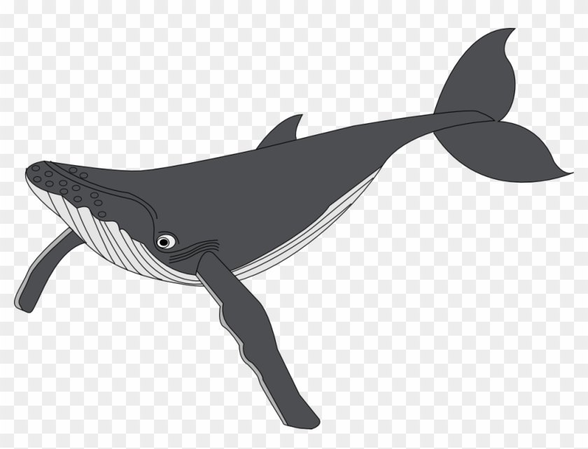 Net Clip Art Baleine Whale Scallywag March - Clipart Baleine #292718