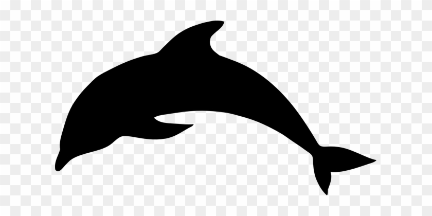 Dolphin Mammal Animal Ocean Sea Water Wild - Orca Coloring #292724
