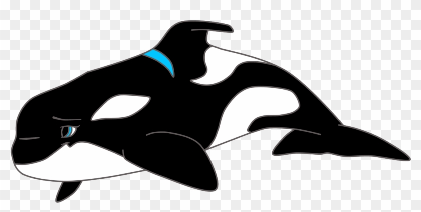 Dolphin Clipart Images Black And White - Killer Whale #292728